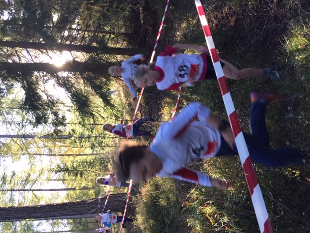 BSK festival og byttedag!