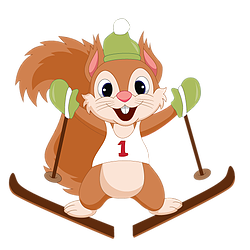 Kjære alle BSK’ere