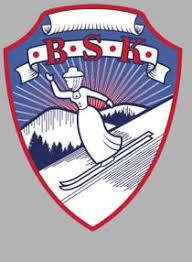 BSK Ekstraordinært Årsmøte